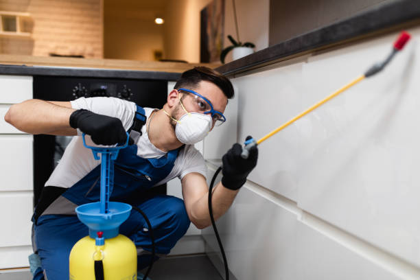 Best Mosquito Control Services  in Hooks, TX