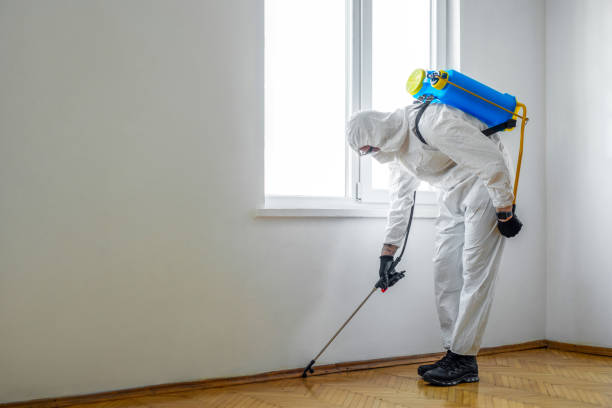 Best Commercial Pest Control Services  in Hooks, TX