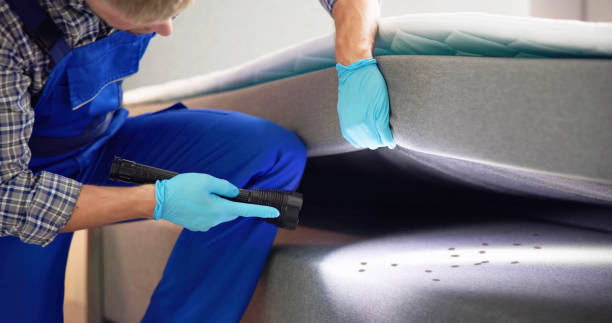Pest Prevention Services in Hooks, TX