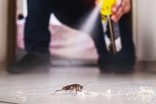 Best Exterminator Services  in Hooks, TX